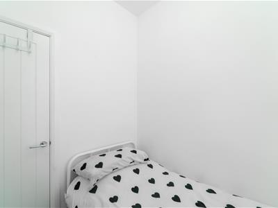 Picture 29